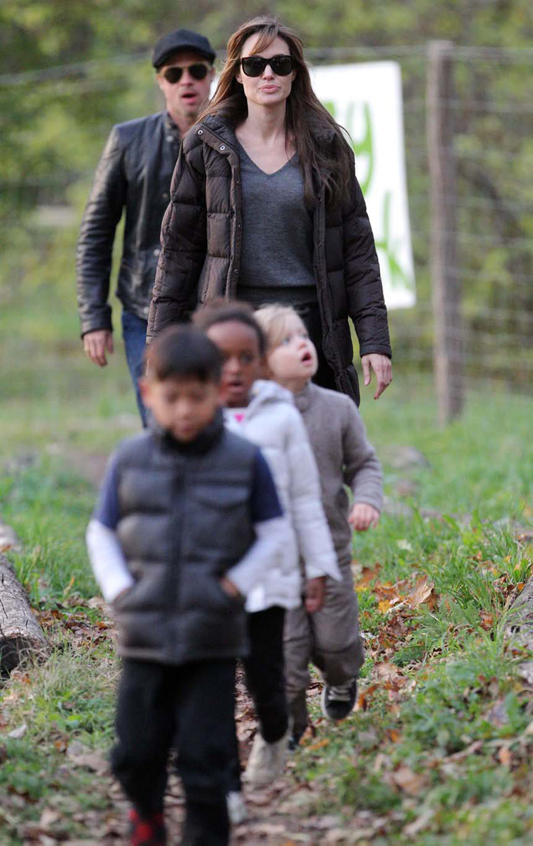 Angelina Jolie: Brad oğlum Pax’i hiç istemedi