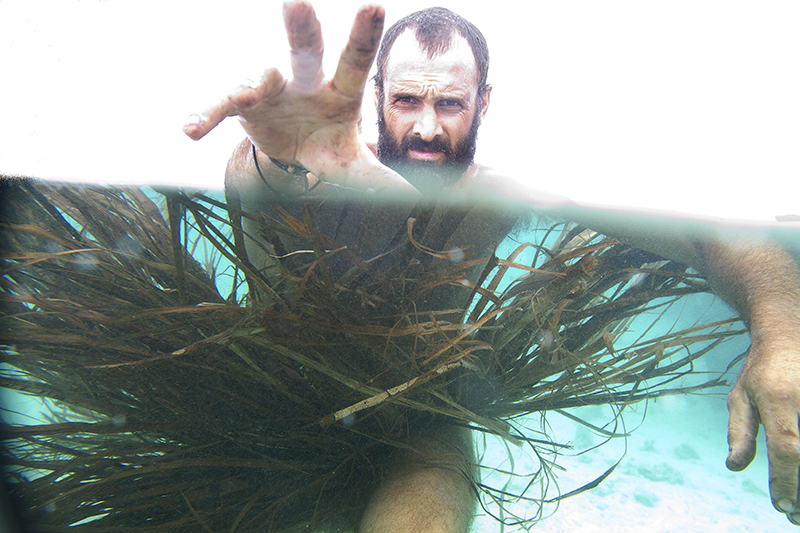 Çağdaş Robinson Crusoe: Ed Statford