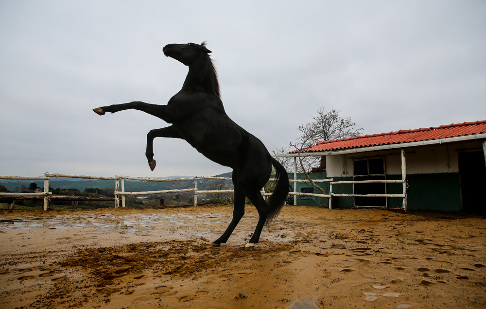 Bizim için Şampiyon'da oynayan Ganesh, Bold Pilot'ın oğlu çıktı