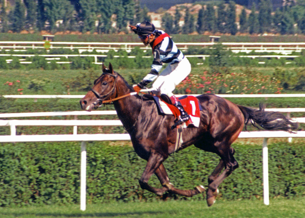 Bizim için Şampiyon'da oynayan Ganesh, Bold Pilot'ın oğlu çıktı