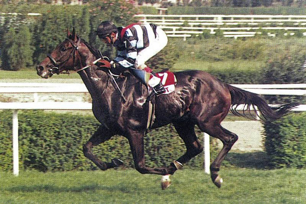 Bizim için Şampiyon'da oynayan Ganesh, Bold Pilot'ın oğlu çıktı