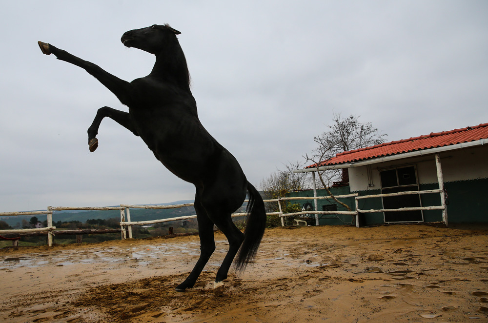 Bizim için Şampiyon'da oynayan Ganesh, Bold Pilot'ın oğlu çıktı