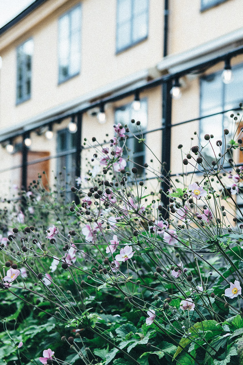 Seyahat / Viking diyarına ziyaret: Stockholm