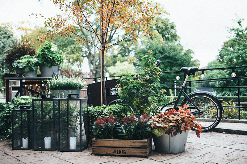 Seyahat / Viking diyarına ziyaret: Stockholm