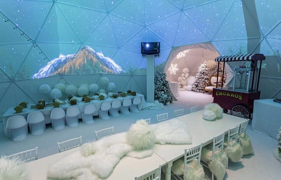 Yılbaşı partisi için 500 bin dolar harcadı