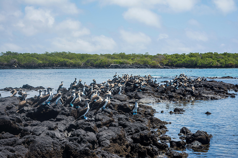 Esquire Best of 2018 Seyahat: Akılda kalanlar