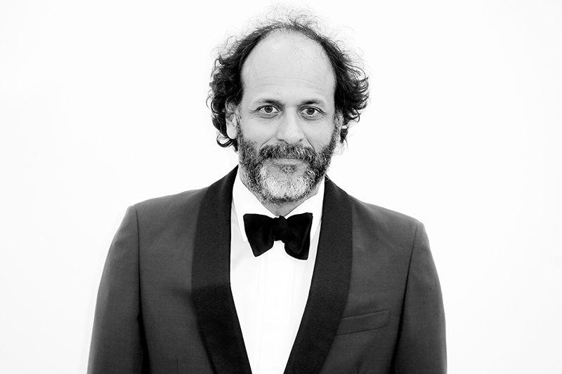Kesinlikle Bir Devam Filmi Değil... Luca Guadagnino