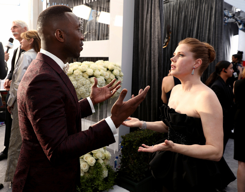 2019 SAG | 25.Ekran Oyuncuları Birliği Ödülleri