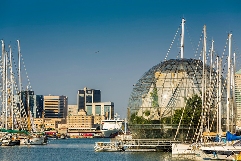 Gerçek İtalyan: Cenova