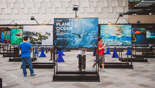 Görev: Okyanusları Korumak