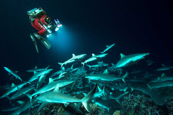 Görev: Okyanusları Korumak