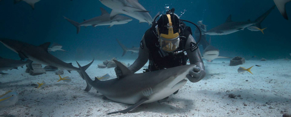 Görev: Okyanusları Korumak