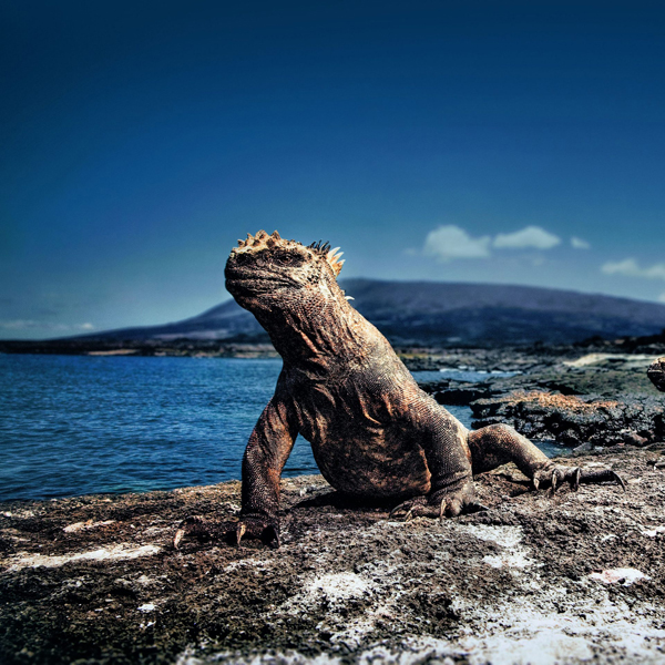 Görev: Okyanusları Korumak