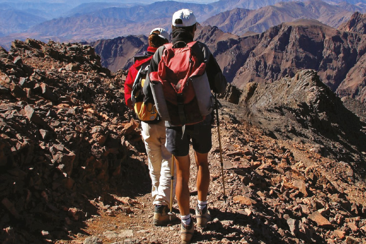 Doğadaki cankurtaranlarımız