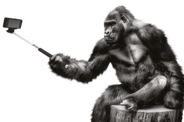 Remake: İnsanlar cehenneminden kaçış