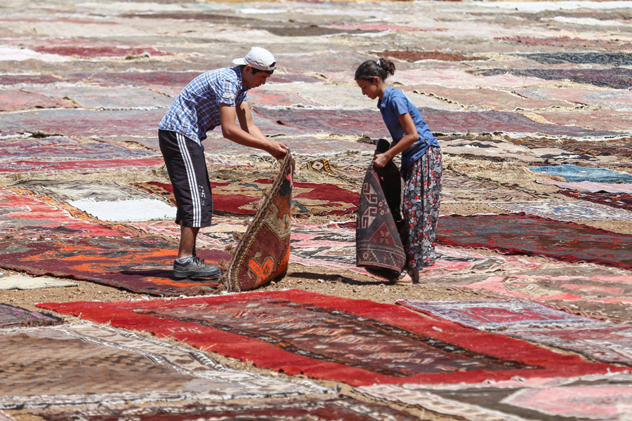 'Halı tarlaları'nın göz alıcı şöleni