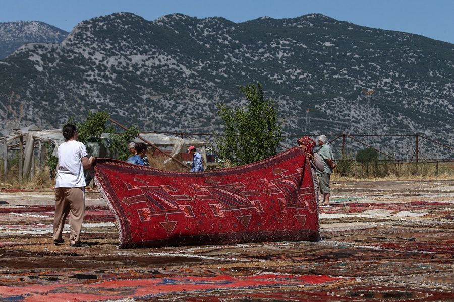 'Halı tarlaları'nın göz alıcı şöleni