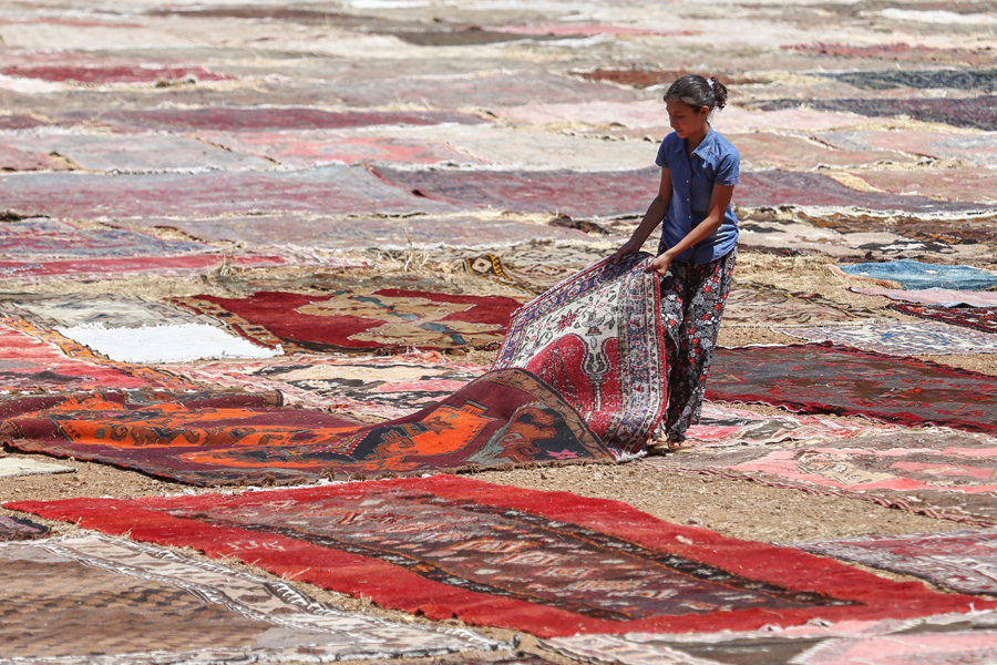 'Halı tarlaları'nın göz alıcı şöleni