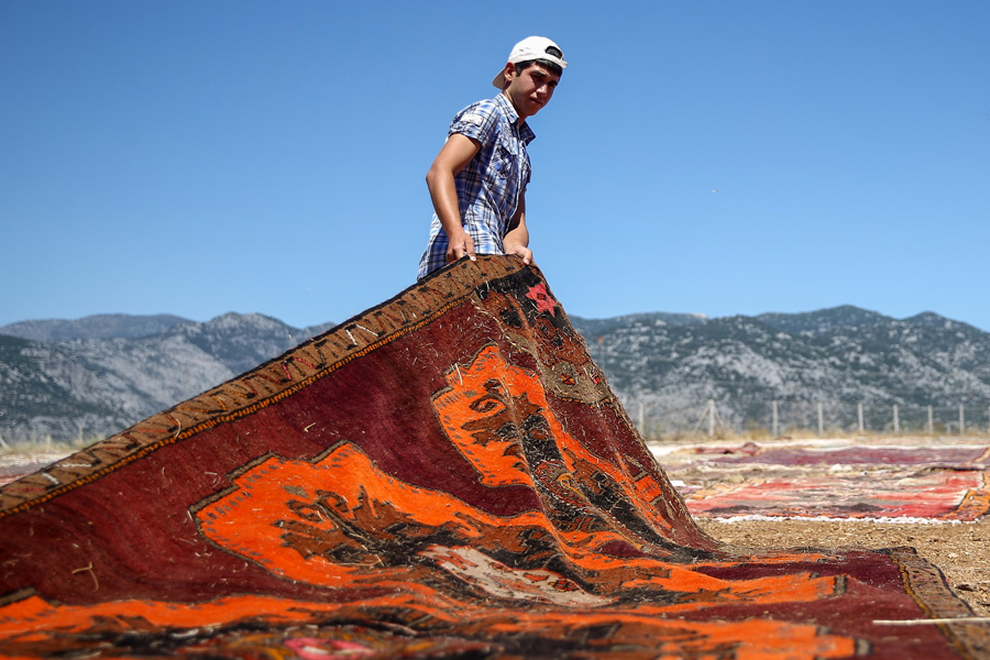 'Halı tarlaları'nın göz alıcı şöleni