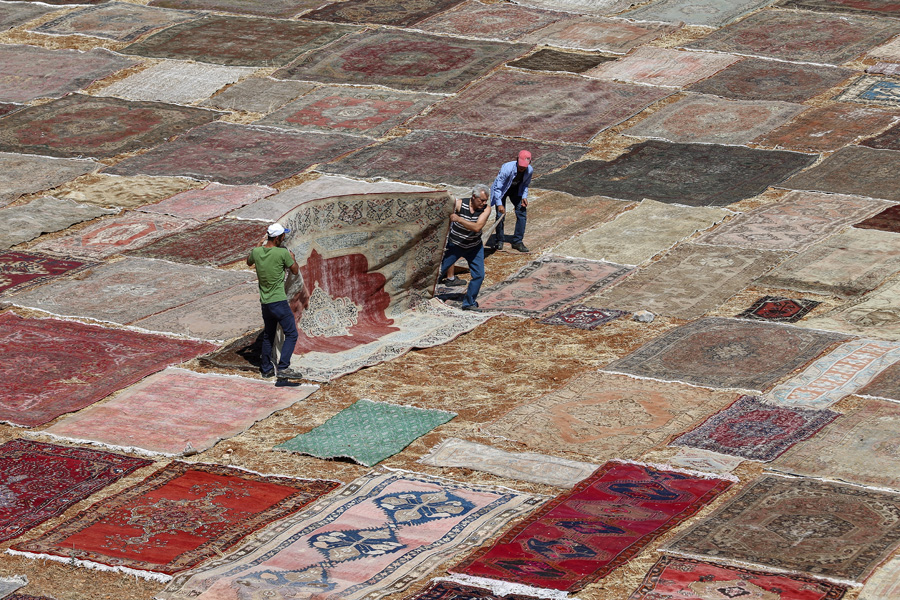 'Halı tarlaları'nın göz alıcı şöleni