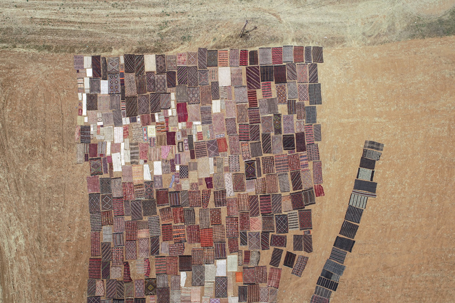 'Halı tarlaları'nın göz alıcı şöleni