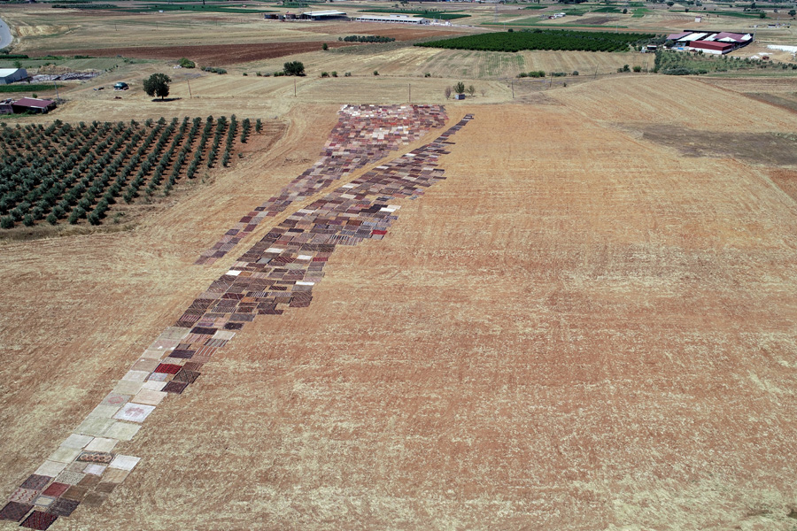 'Halı tarlaları'nın göz alıcı şöleni