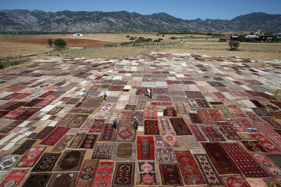 'Halı tarlaları'nın göz alıcı şöleni