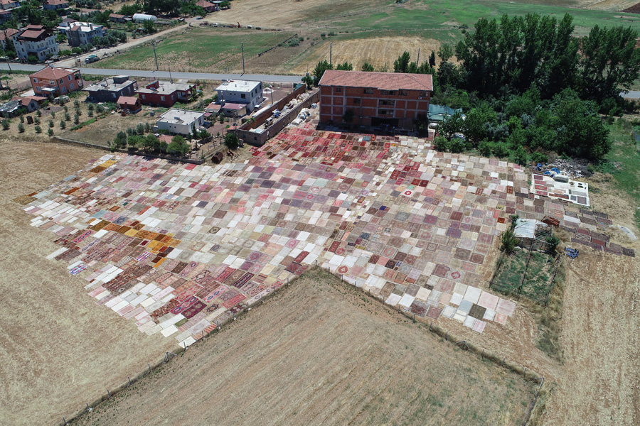 'Halı tarlaları'nın göz alıcı şöleni