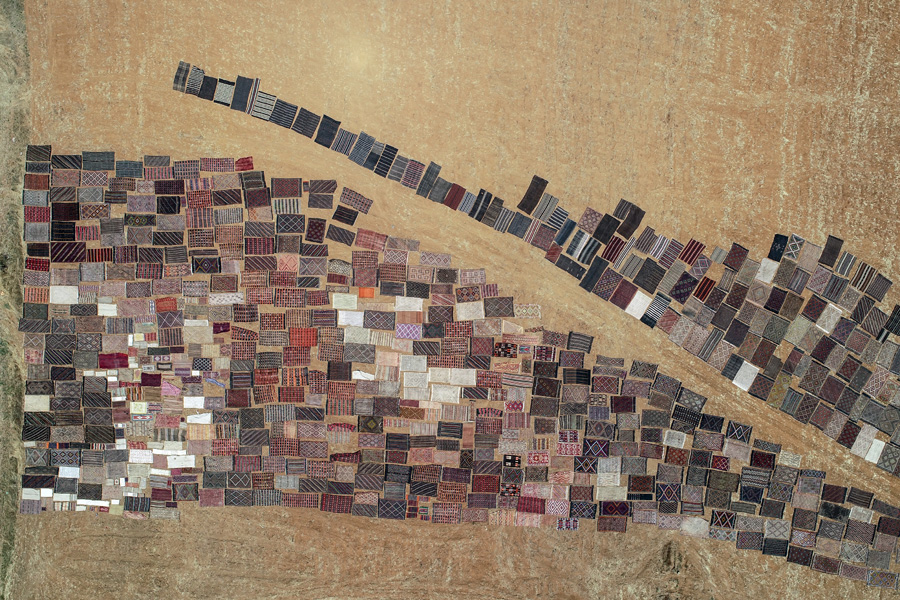 'Halı tarlaları'nın göz alıcı şöleni