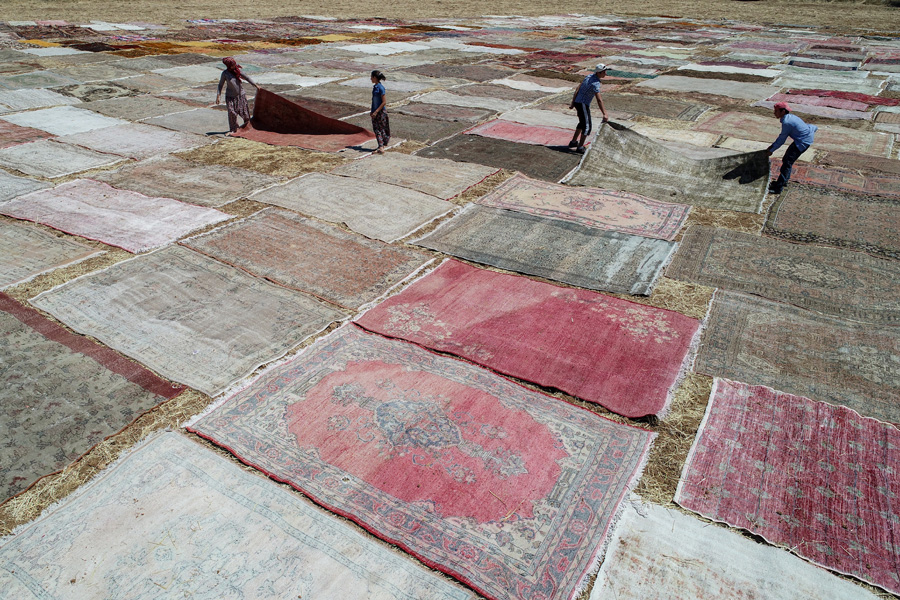 'Halı tarlaları'nın göz alıcı şöleni