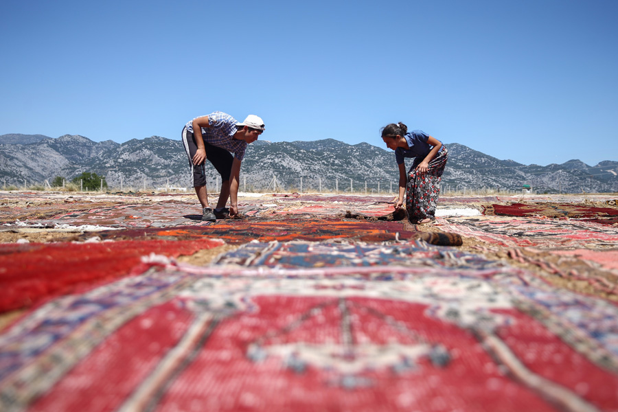 'Halı tarlaları'nın göz alıcı şöleni