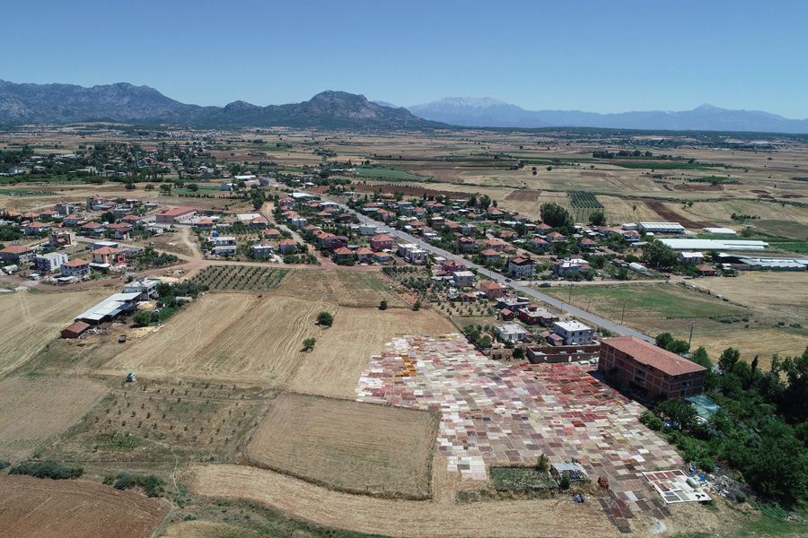 'Halı tarlaları'nın göz alıcı şöleni