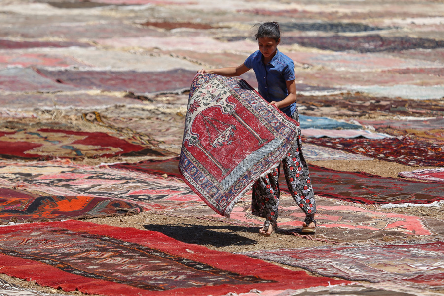 'Halı tarlaları'nın göz alıcı şöleni