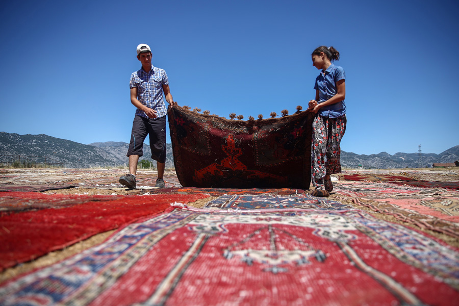 'Halı tarlaları'nın göz alıcı şöleni