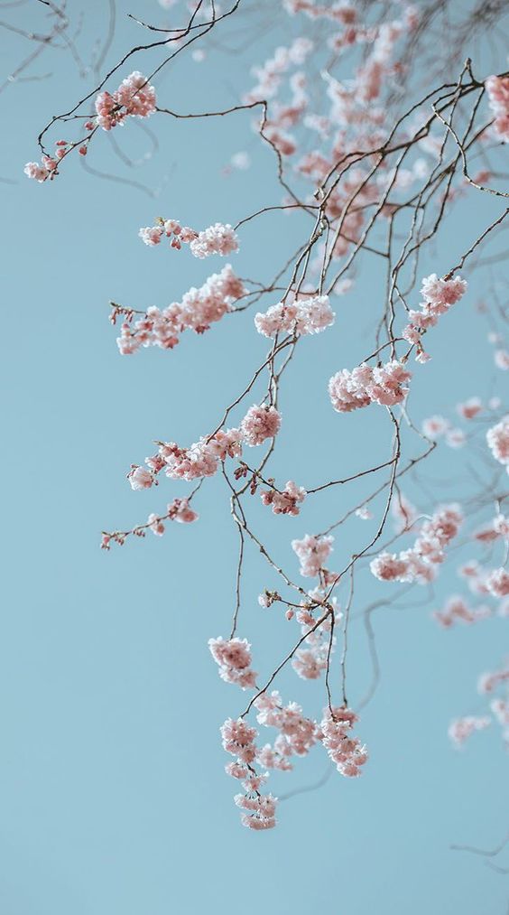 En güzel iPhone XS Max duvar kağıdı önerileri