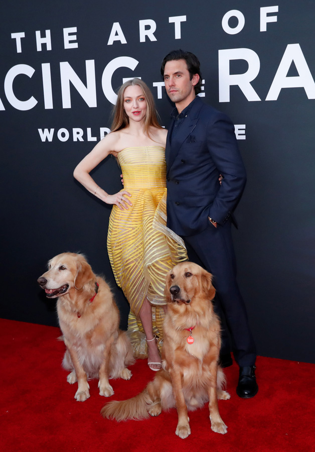 Amanda Seyfried ve Milo Ventimiglia galada rol arkadaşları köpeklerle