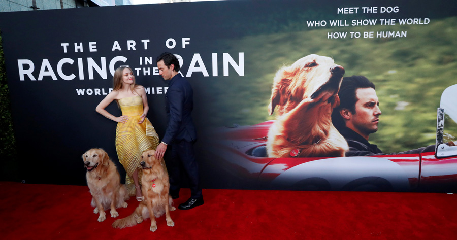 Amanda Seyfried ve Milo Ventimiglia galada rol arkadaşları köpeklerle