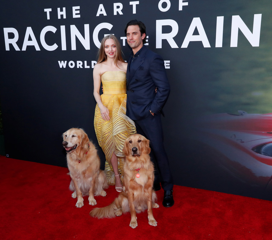 Amanda Seyfried ve Milo Ventimiglia galada rol arkadaşları köpeklerle