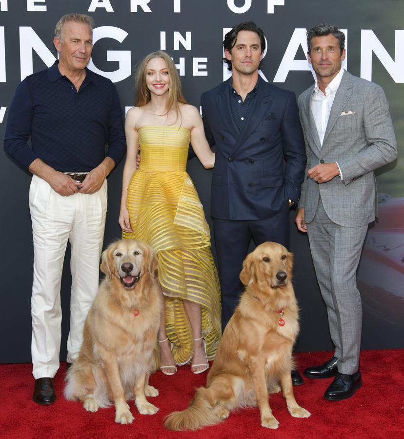 Amanda Seyfried ve Milo Ventimiglia galada rol arkadaşları köpeklerle