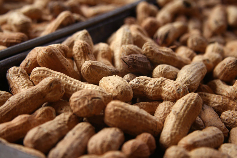 Kilo vermeyi hızlandıran 15 süper besin!