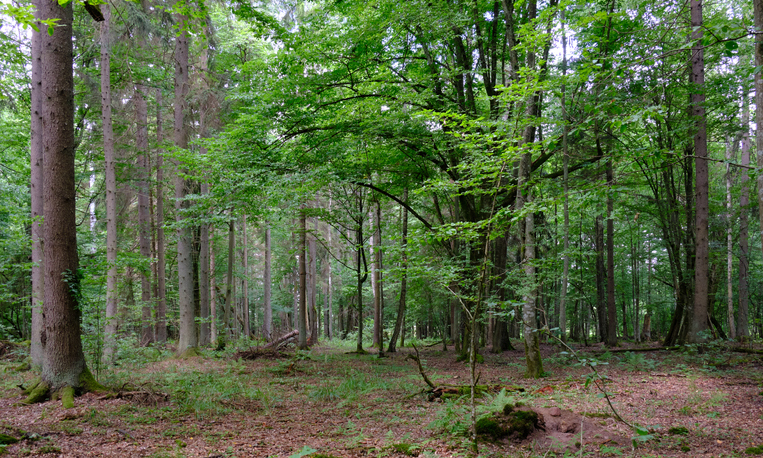 2020'de mutlaka görülmesi gereken yerler