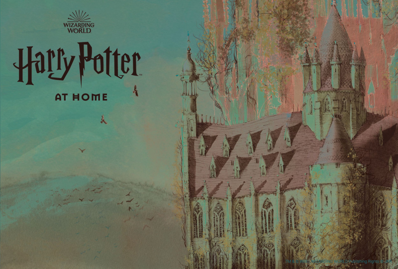 Harry Potter’a artık online olarak ulaşılabilecek!