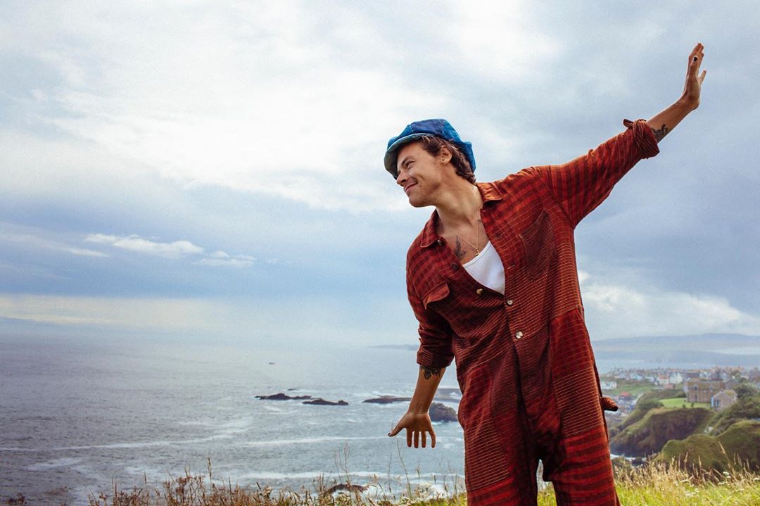 Harry Styles corona virüs mücadelesine katıldı!