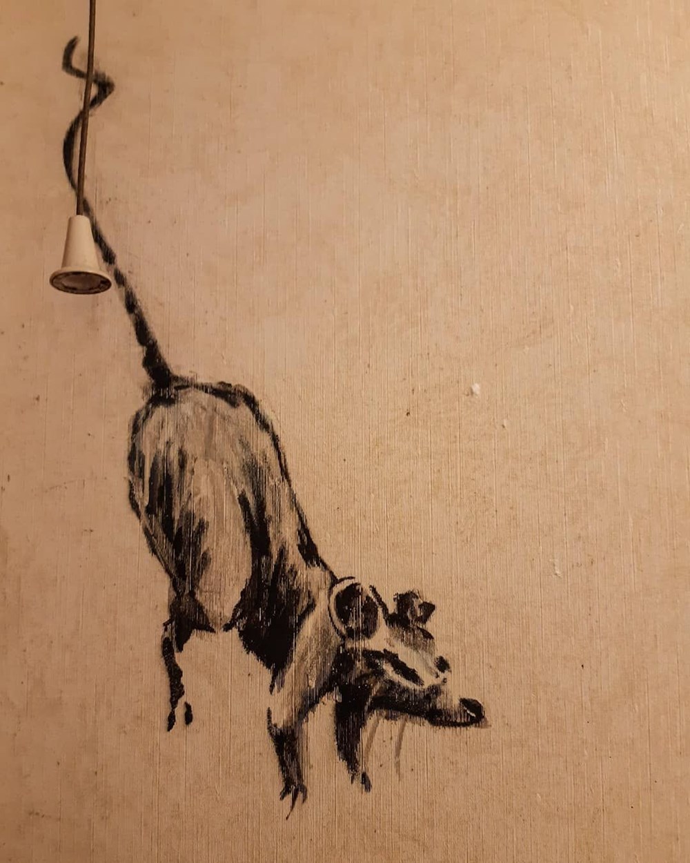 Banksy sanatını evinin duvarlarında icra ediyor
