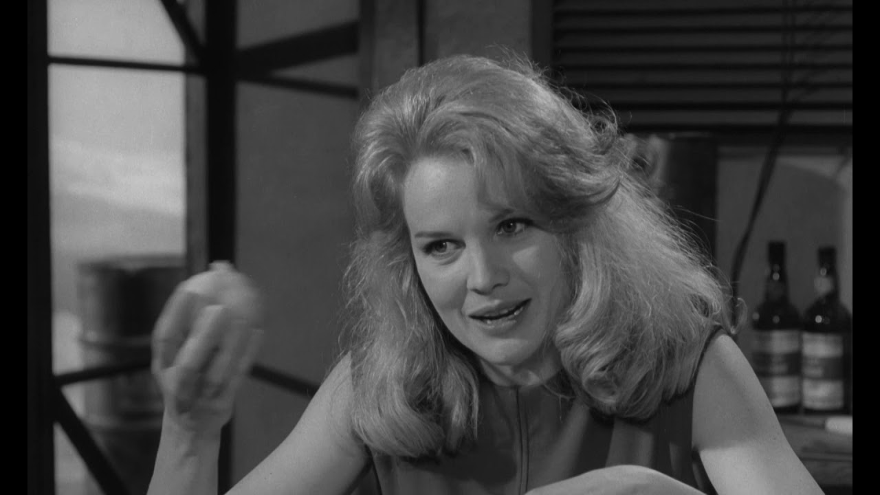 Wes Anderson’ın karantinada izlediği favori filmleri