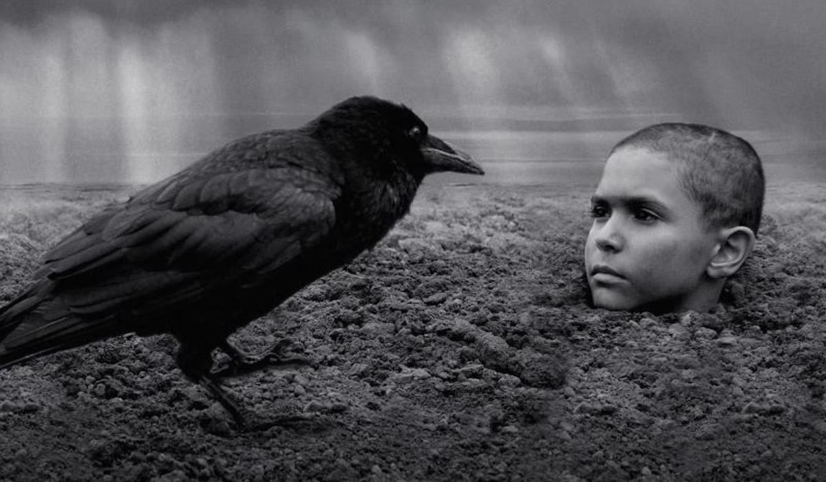 2020'nin en iyi filmleri