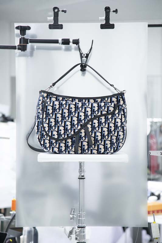 Dior Oblique Tapestry