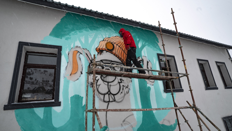 Türkiye'nin 81 iline 'tavşan' çizdi