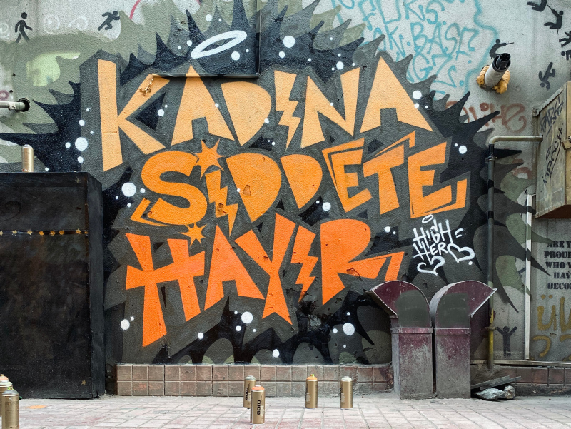 Türkiye'nin 81 iline 'tavşan' çizdi