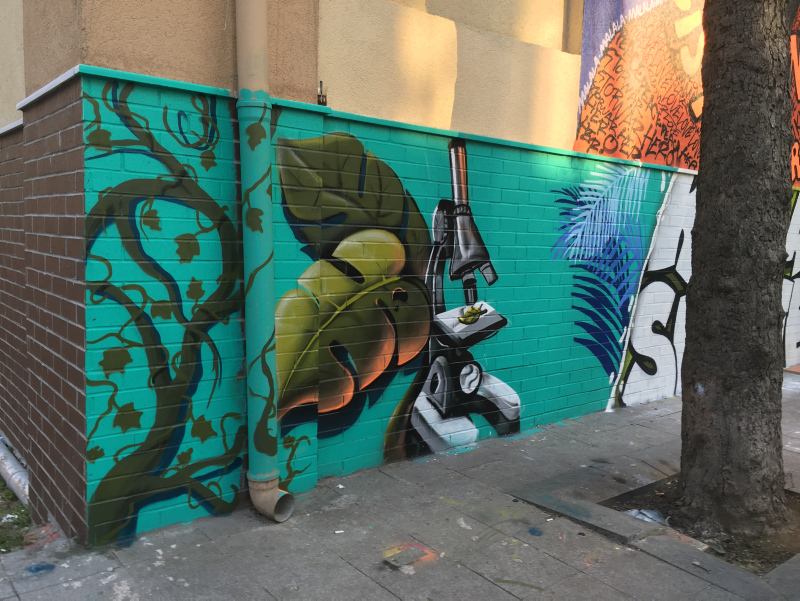 Türkiye'nin 81 iline 'tavşan' çizdi